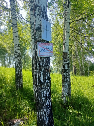 Купание запрещено!.